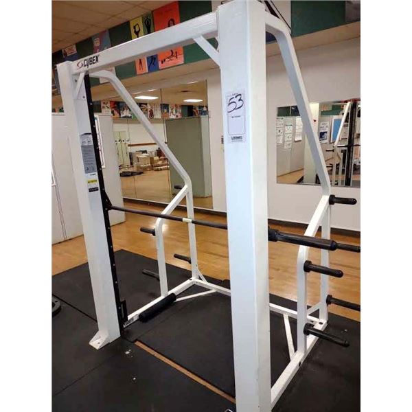 CYBEX SMITH MACHINE $2999.00 NEW PRICE