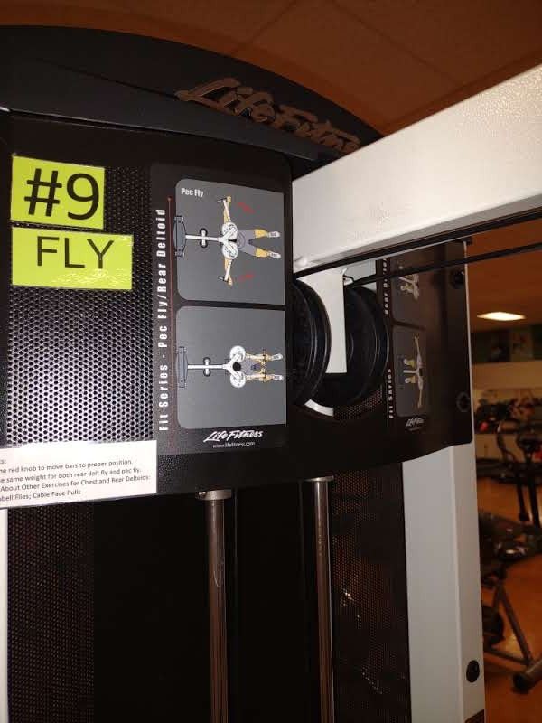 LIFE FITNESS FLY MACHINE