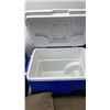 Image 3 : 2 COLEMAN COOLERS AND INTEX ELECTRIC PUMP AND 2 PILLOWS