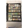 Image 8 : STAMP STARTER KIT