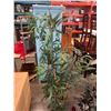 Image 2 : ARTIFICIAL BAMBOO TREE AND ARTIFICIAL TREE IN WOVEN PLANTER