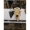 Image 1 : CARVED ANIMAL SKULL WITH HORNS