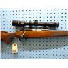 Image 3 : Winchester, model 70 Carbine short action , caliber 22 - 250 , bolt action , floorplate , imperial 3
