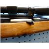 Image 5 : Winchester, model 100, caliber 284 win, semi automatic , clip, tasco golden antler scope , serial nu