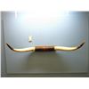 Image 1 : Mounted set of Texas Longhorns, 50 " TIP TO TIP
