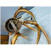 Image 10 : DEER ANTLER CHANDELIER