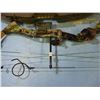 Image 10 : Darton compound bow - Draw weight range 50-60 LBS -- with hardside case
