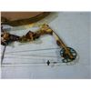 Image 9 : Darton compound bow - Draw weight range 50-60 LBS -- with hardside case