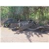 Image 2 : Kauai - Large Lot Mini Excavator Tracks