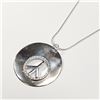 Image 2 : $240 Silver Necklace