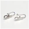 Image 1 : Silver Earrings