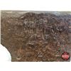 Image 2 : Peter Wright ANVIL (Weighs : 81 LBS) (SEE PICS!)
