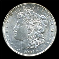 1921 Morgan Dollar Choice+ Uncirculated Scarce Variety (COI-5074)