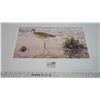 Image 4 : 2 Wildlife Bird Prints "Tide Walk & Along the North Shore" Vintage - Signed 20x14"