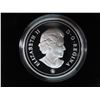 Image 4 : 2007 Joseph Brant Proof Silver Dollar. 200th Anniversary of the death of Chief Thayendanegea (Joseph