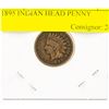 Image 1 : 1895 INDIAN HEAD PENNY