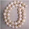 Image 1 : 12-11 MM FRESH WATER PEARL STRING - 16 INCHES