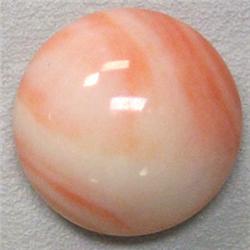 50 CTS NATURAL ITALIAN CORAL CABOCHON 24 MM - HALF DRILLED