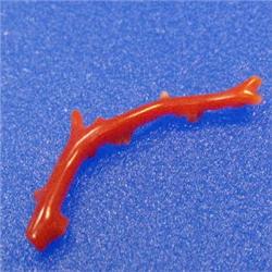 4 CTS NATURAL ITALIAN CORAL BRANCH 40x10 MM