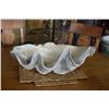 Image 1 : LARGE CLAM SHELL (OTHER HALF OF LOT 10) (25")