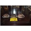 Image 2 : 3-"HAWAIIAN TIGER COWRY" CYPRAEA TIGRIS SCHILDERIANA, HAWAIIAN ISLANDS (3 PCS)
