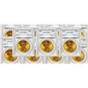 Image 1 : Ten (10) $20 Saint Gaudens Gold PCGS MS64