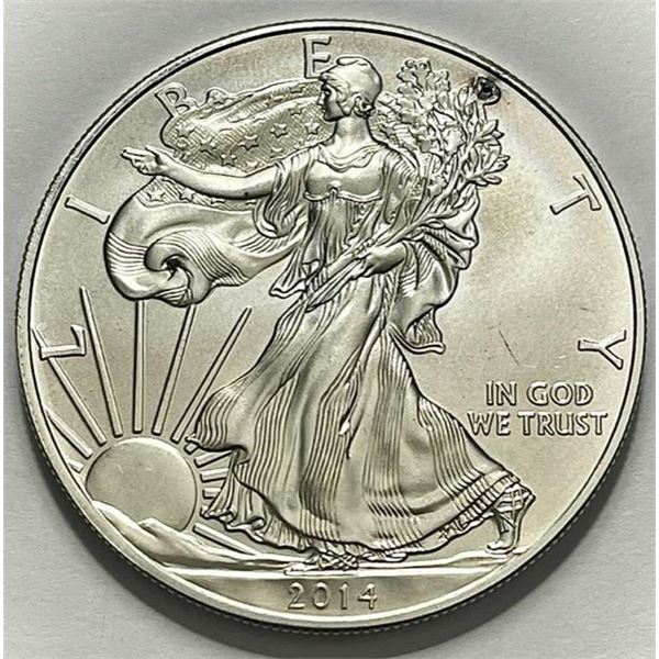 2014 American Silver Eagle