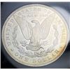 Image 6 : 5-Coin Morgan Slver Dollar Mint Set MS63 (CC)