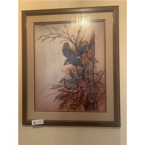Framed 3-Dimensional Blue Jay Artwork