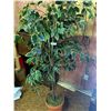 Image 1 : Potted Artificial Tree