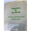 Image 3 : Pilgrims of the Wild By Grey Owl.