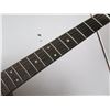 Image 8 : Martin & Co. SWDGT Certified Sustainable Wood Series Acoustic Guitar 1996 & Case