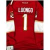 Image 1 : ROBERTO LUONGO SIGNED  FLORIDA PANTHERS REEBOK JERSEY (FRAMEWORTH COA)