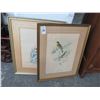 Image 1 : Framed Asian Bird Prints (2) - 22" x 28"