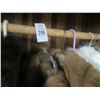 Image 2 : 7- Fur Coats - 7 X $