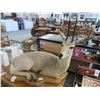 Image 1 : Gazelle Taxidermy