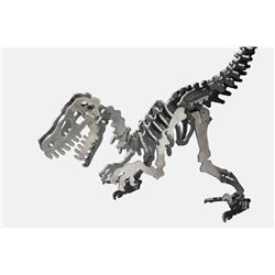 Kevin Stone : Raptor, Canada 2009