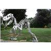 Image 2 : Kevin Stone : Raptor, Canada 2009