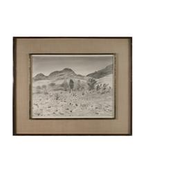 Robert Block: Mexican landscape "Oaxaca Milta" , Mexico 1954 April
