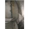 Image 3 : Oskar Ponce: Sobre Madera, Mexico 2000