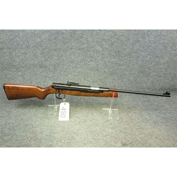 Chinese 22 Pellet Gun