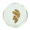 Image 1 : Lot of Gold Nuggets 1.92 grams Total Weight