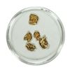 Image 1 : Lot of Gold Nuggets 2.32 Grams Total Weight