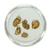 Image 1 : Lot of Gold Nuggets 2.66 Grams Total Weight