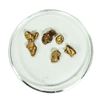 Image 1 : Lot of Gold Nuggets 2.23 grams Total Weight