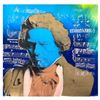 Image 1 : Steve Kaufman (1960-2010) "Beethoven" Original Mixed Media on Canvas