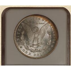 1878 7/8 TF Morgan $ MS63 NGC VAM 38
