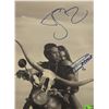 Image 1 : Jay-Z and Beyonce signed photo