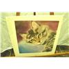 Image 1 : Cat Print LOVE EYES Signed Dan Strouble-