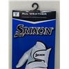 Image 2 : NEW All Weather SrixonÊGlove Ladies S Left